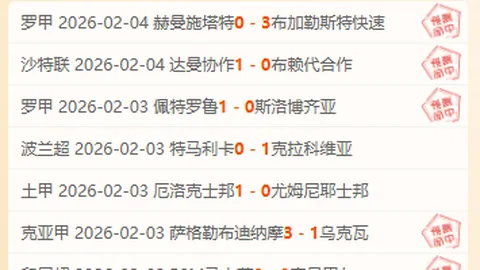 比勒费尔德德丙队首战德国杯决赛